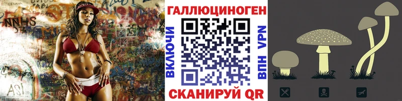 Псилоцибиновые грибы Psilocybe  Устюжна 